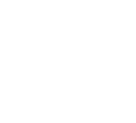 Pro Ice